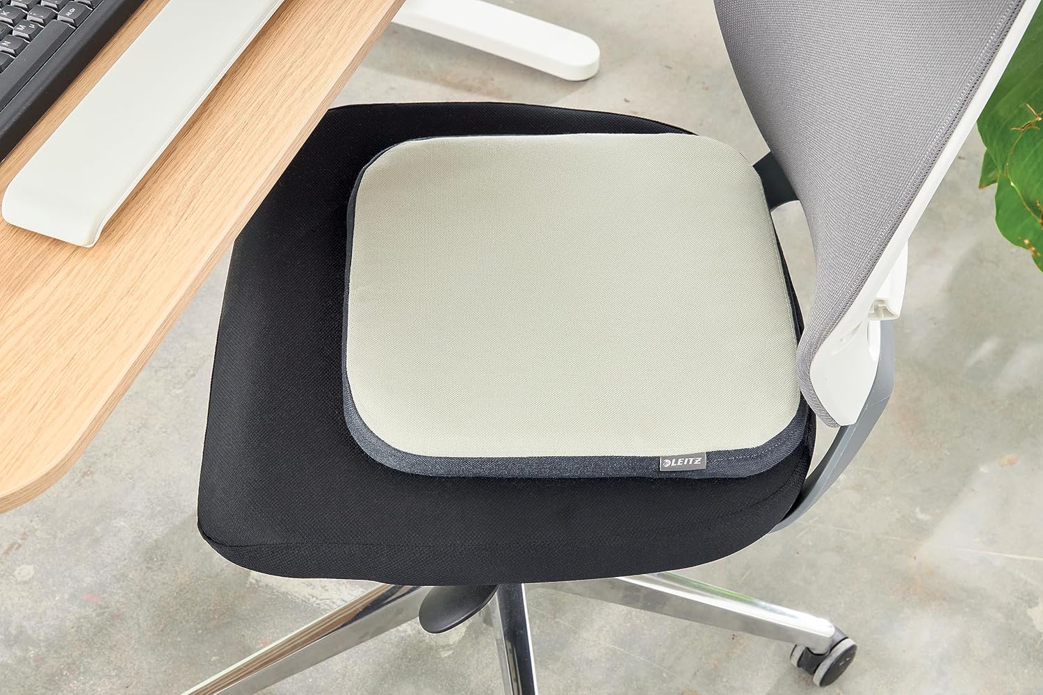Coussin d'Assise Ergonomique