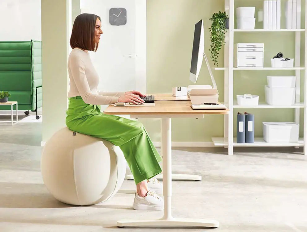 Leitz - Siège Ballon Ergonomique